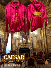 Load image into Gallery viewer, King Pin Velour HOODY TOP ONLY